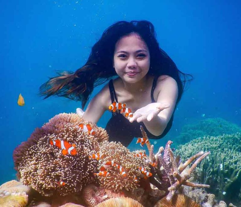 Snorkeling Trip in Karimunjawa Island