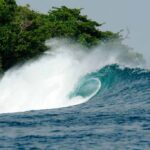 Surfing in One Palm Point - Panaitan