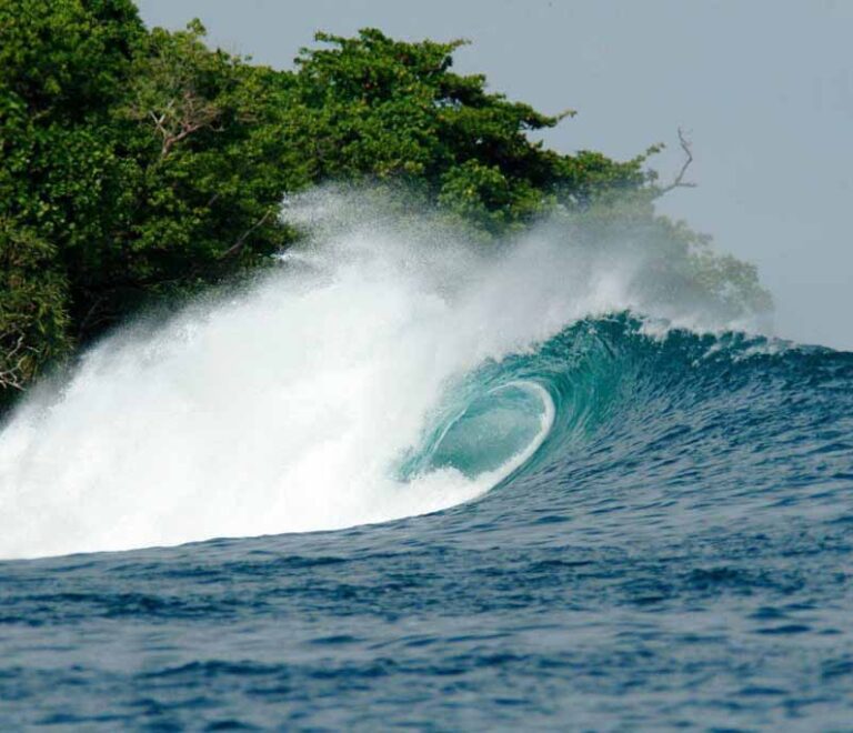 Surfing in One Palm Point - Panaitan