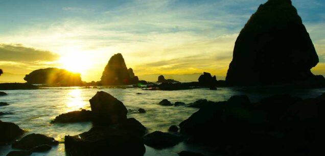 Jember