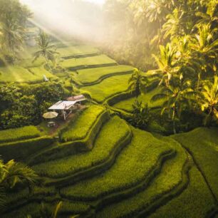 Ubud