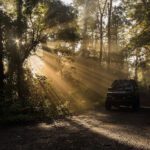 Driving to Sukamade turtle beach