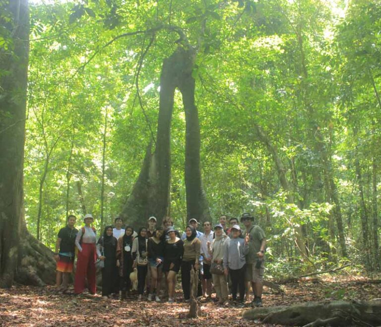 Explore the Jungle in Ujung Kulon