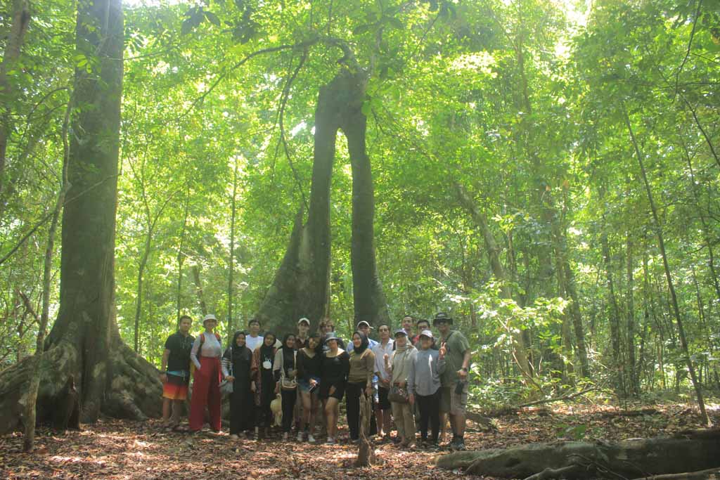 Explore the Jungle in Ujung Kulon