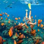 Menjangan Island Private Day Tour From Banyuwangi