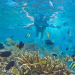 Snorkeling in Pramuka island