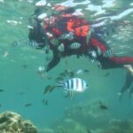 Snorkelling tidung island