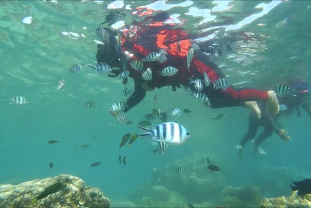 Snorkelling tidung island