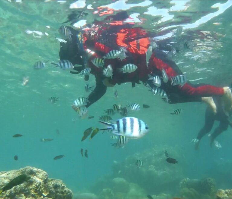Snorkelling tidung island