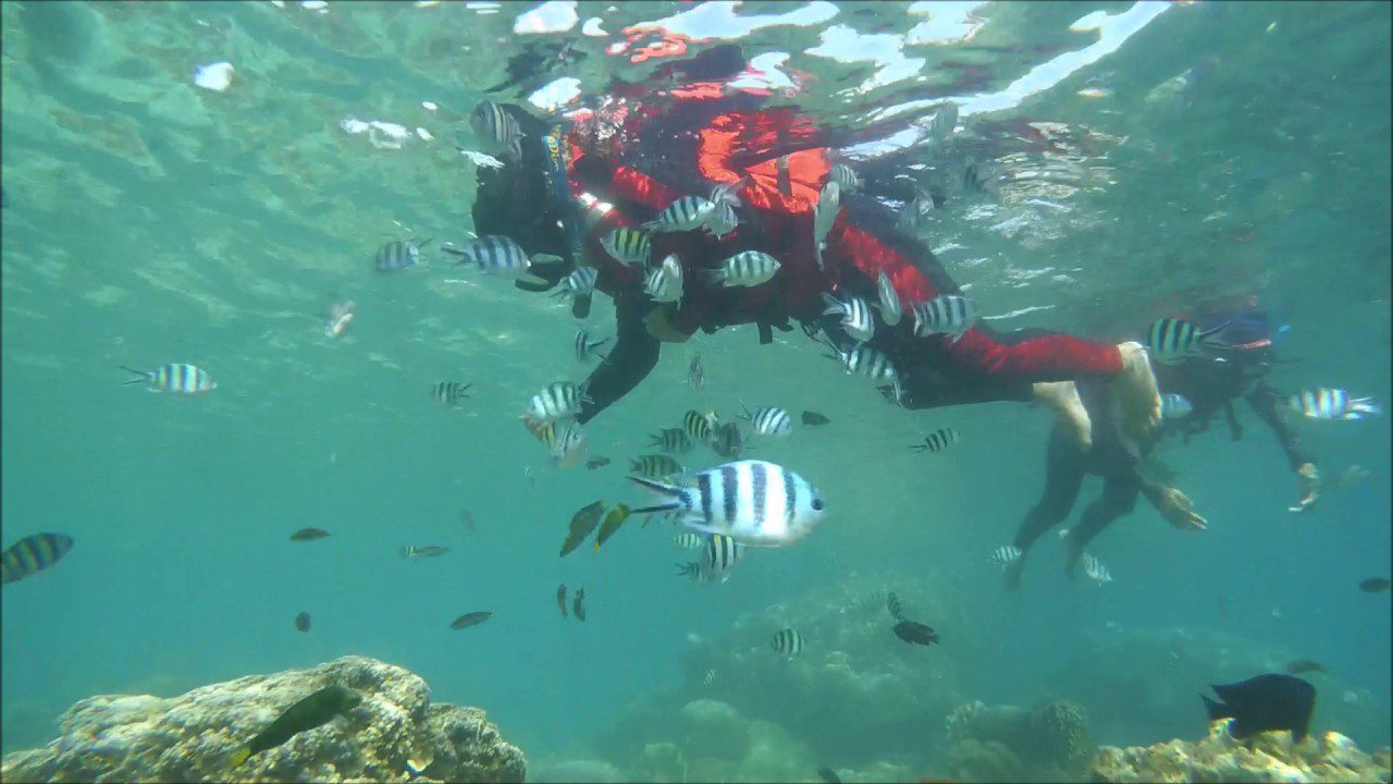 Snorkelling tidung island