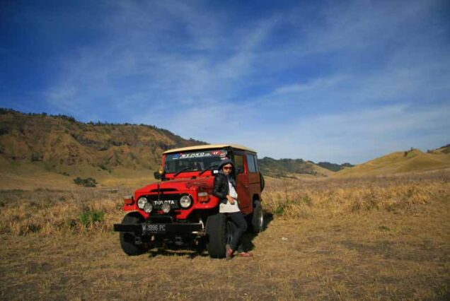 The Savana of Bromo