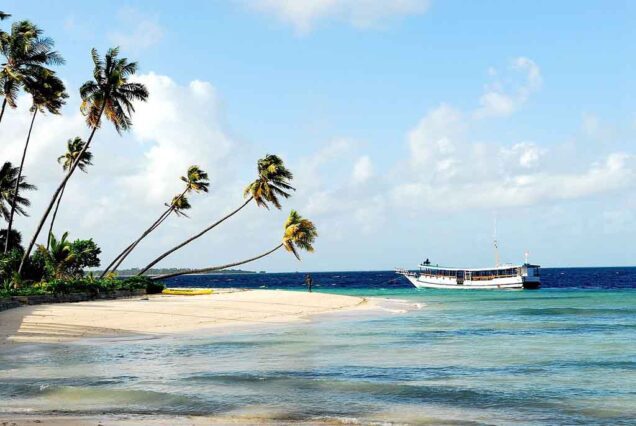 Beautiful beach in Wakatobi