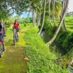 Batu Countryside Cycling Tour - LONG ROUTE