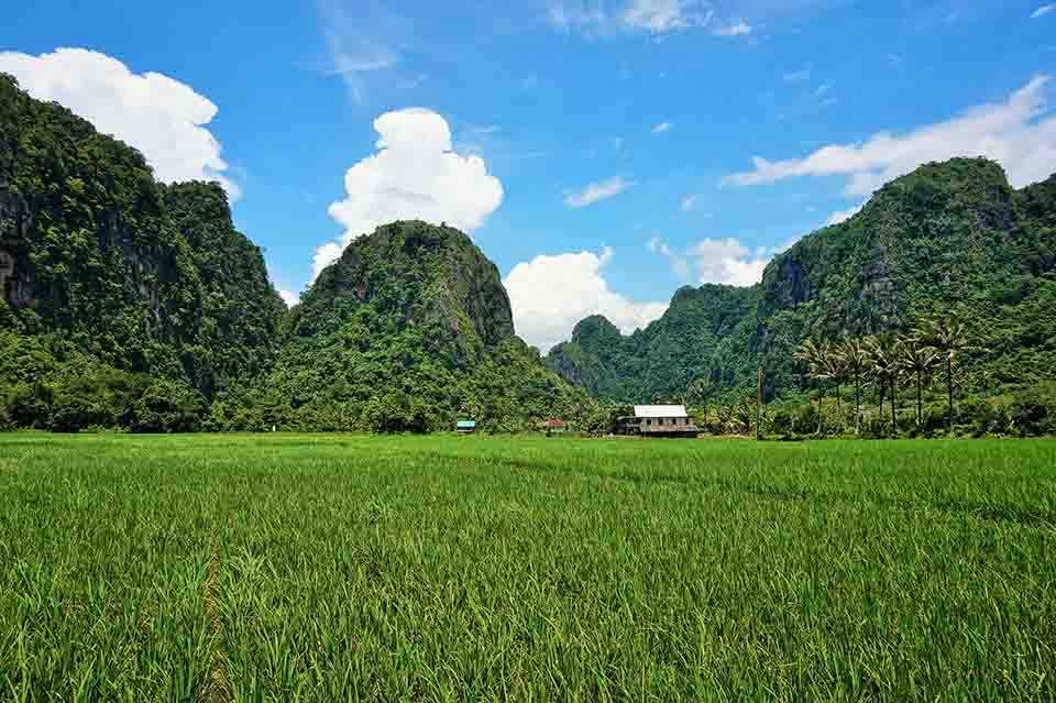 Farm Land around Ramang-Ramang