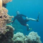 Free diving in Wakatobi