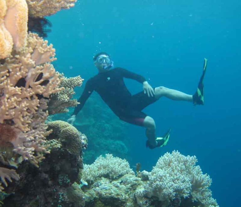 Free diving in Wakatobi