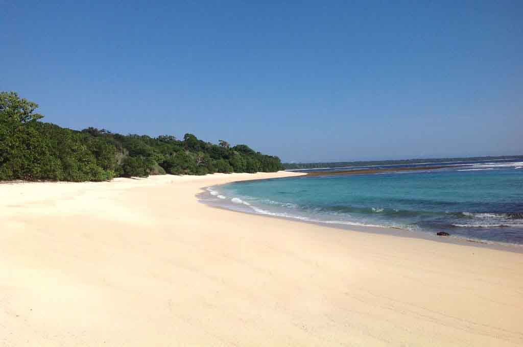 Gotri Beach - Alas Purwo