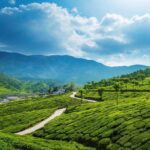 Full-Day tour Solok: Culture, Tea Fields & Twin Lakes from Padang