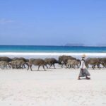 4-Day Lombok Tour: Sasak Culture & Gili Islands Escape