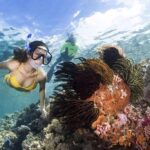 5-Day Wakatobi Sharing Group Tour: Snorkeling & Cultural Experience