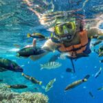 Tabuhan island private day tour - Banyuwangi