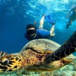 Private Snorkeling Day Trip to Gili Trawangan, Gili Air & Gili Meno – Start from Teluk Nare Port Senggigi
