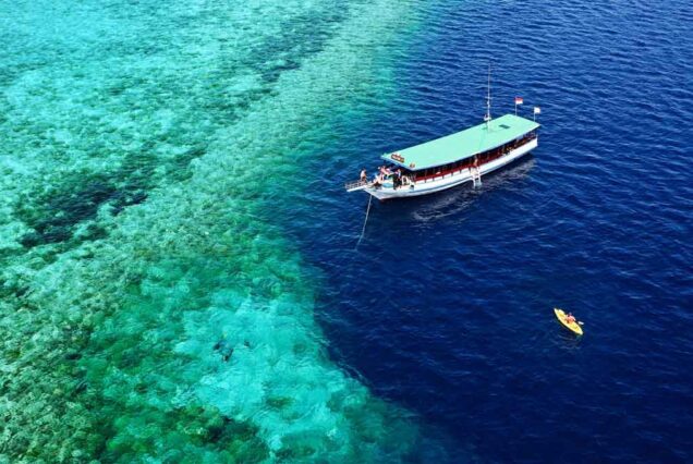 Wonderful Wakatobi