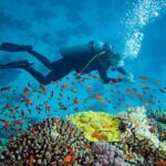 Derawan Islands Diving Trip – 5 Days All-Inclusive Adventure from Berau