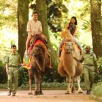 Bogor Safari Park Wildlife Adventure - Day Tour from Bogor