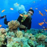 4D3N Derawan Islands Diving Tour - Pickup Included via Berau