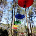 Bandung Day Tour to Tangkuban Perahu, Orchid Forest & De Ranch Lembang