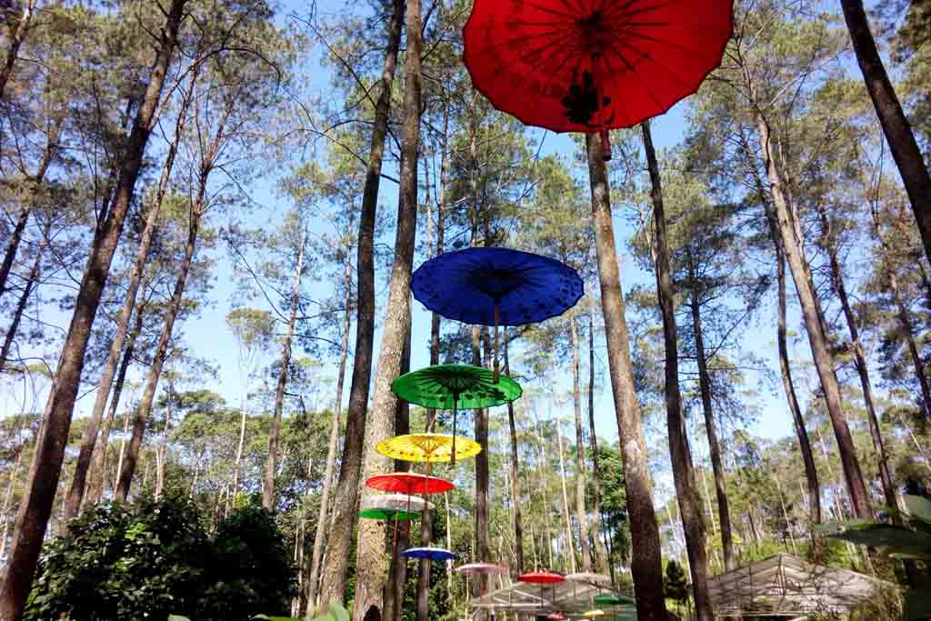 Orchid Forest Cikole Bandung