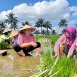 Full Day Tour Lombok: Tetebatu Village Trekking – Scenic Rice Terraces & Local Culture