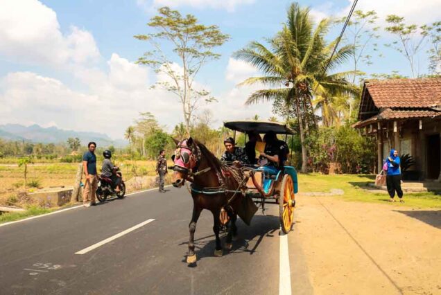 Dokar village tour nearby Borobudur