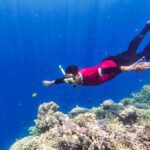 Private Snorkeling Day Trip to Menjangan & Tabuhan Islands from Banyuwangi