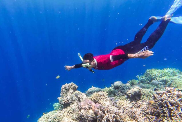 Free Diving in Menjangan Island