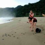 Sukamade Turtle Beach & Ijen Crater Blue Fire – 3 Day Tour from Kalibaru to Banyuwangi