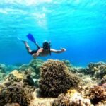 Private Snorkeling Day Trip to Menjangan & Tabuhan Islands from Banyuwangi