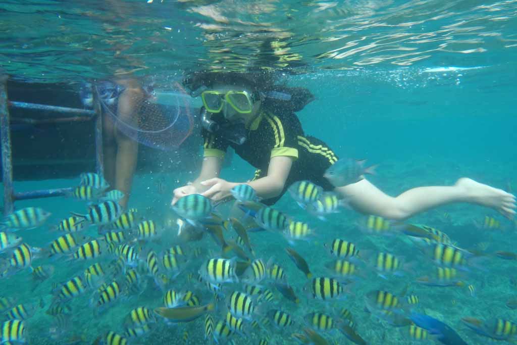 Snorkeling at Pari Island with Coral Fishes
