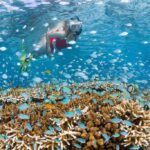 8-Day Wakatobi Island-Hopping & Snorkeling Tour – Wangi-Wangi, Binongko, Tomia & Hoga