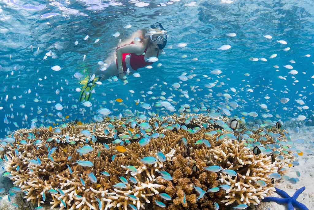Snorkeling with beautiful coral reef and fishesh in Wakatobi