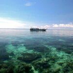 Derawan Islands 3‑Day Group Tour from Tarakan – Snorkeling & Island Hopping