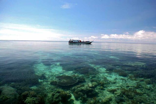 Derawan Islands Sharing Group Trip