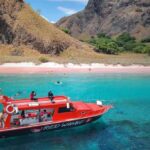 Daily Shared Speedboat Tour from Labuhan Bajo – Komodo Dragons, Padar Island, Pink Beach & Manta Point Snorkeling