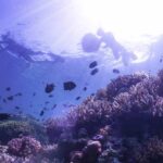 Bunaken Island Private Snorkeling Day Trip from Marina Pier Megamas - Manado City