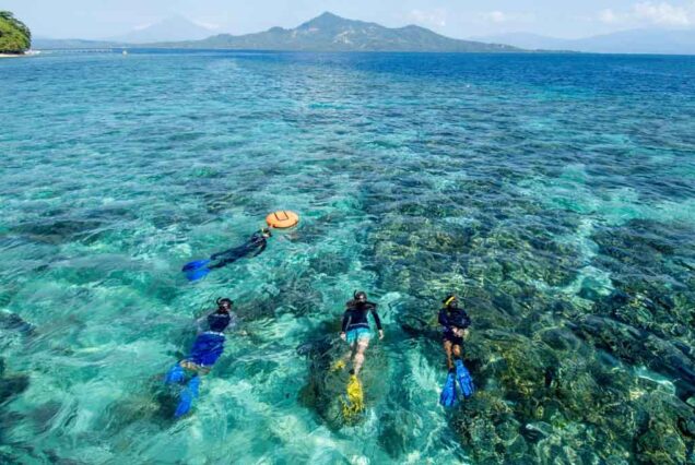 Snorkeling at Bunaken Marine Park