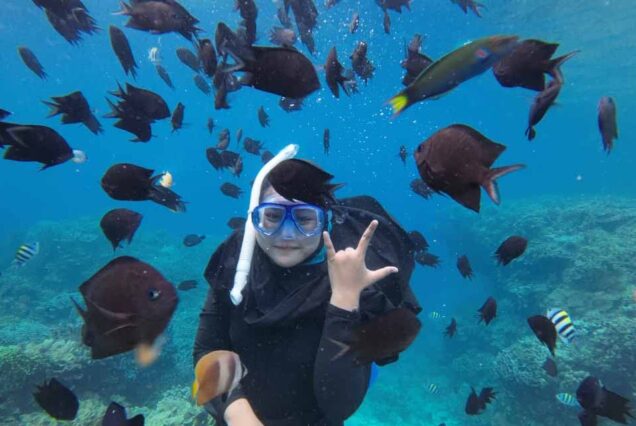 Snorkeling with Beautiful Fishes in Bunaken