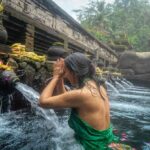 Bali Day Trip: Sukawati Market, Ubud Rice Terraces & Tampak Siring