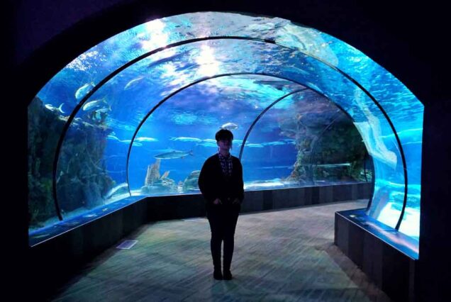 Undersea Aquarium - Putri Island