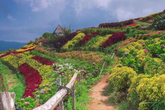 Tetetana peak - Manado Tours